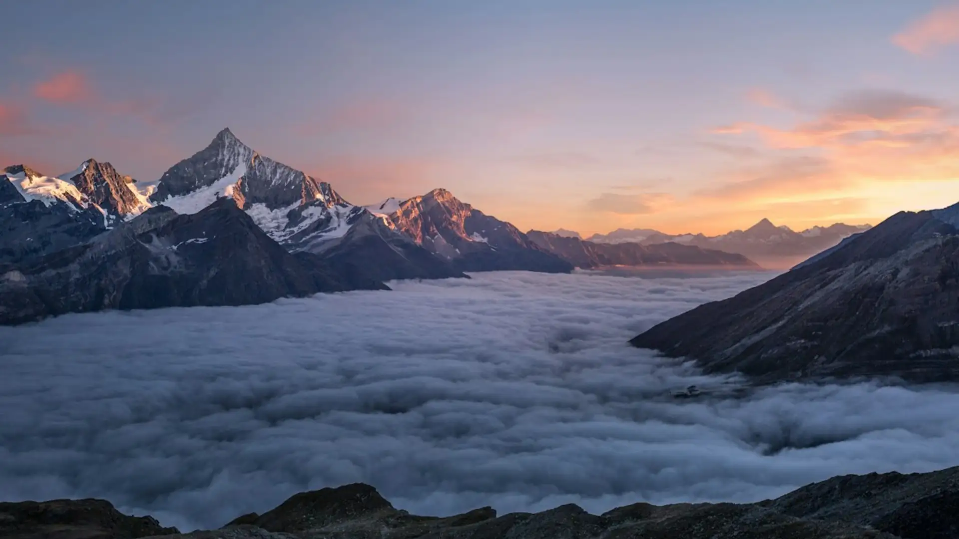 The calf in the ravine