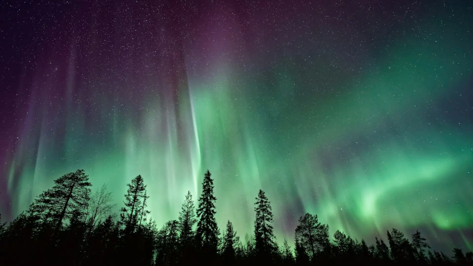 Northern lights walk, Lyngen