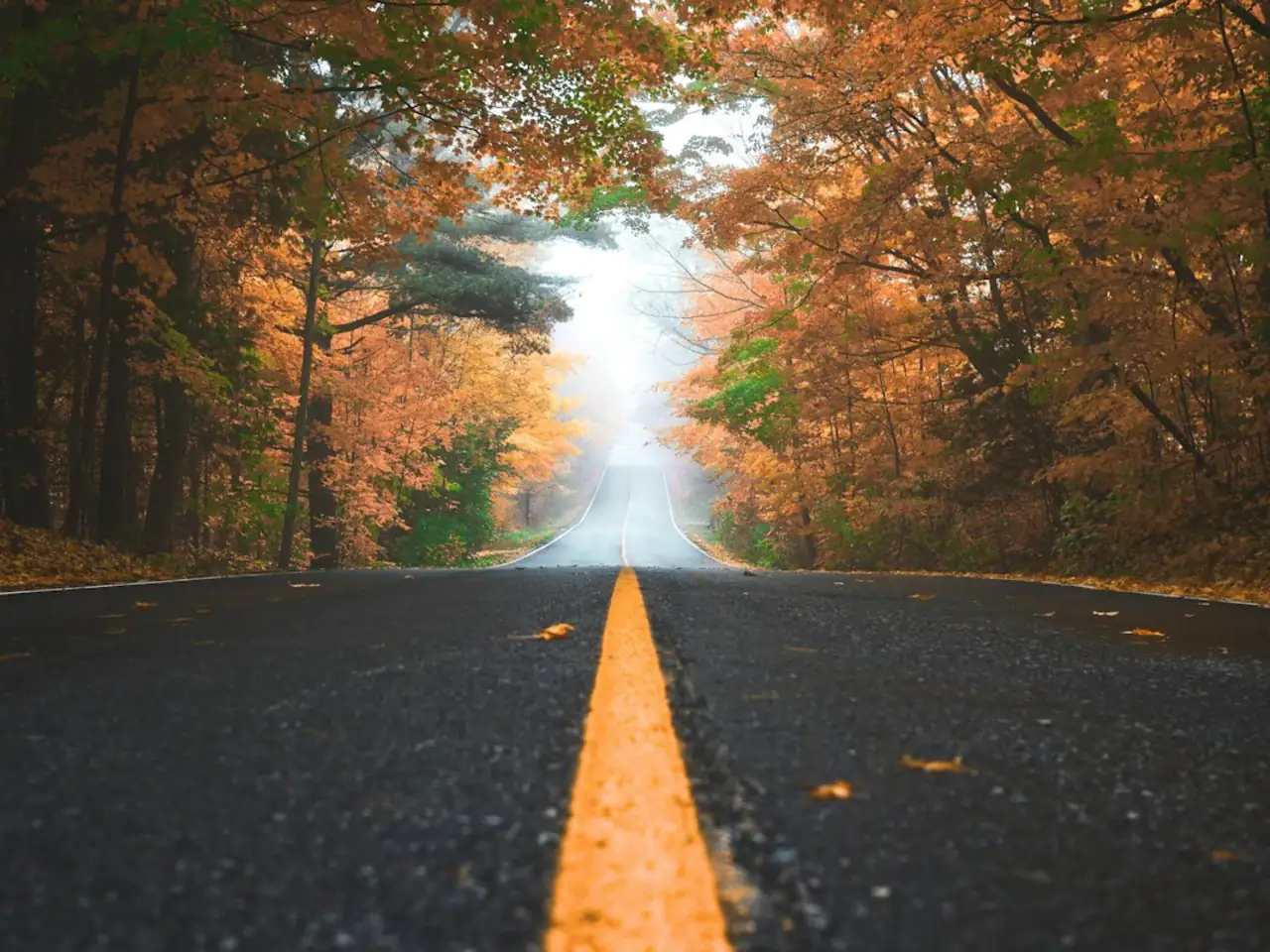 Autumn's best hikes