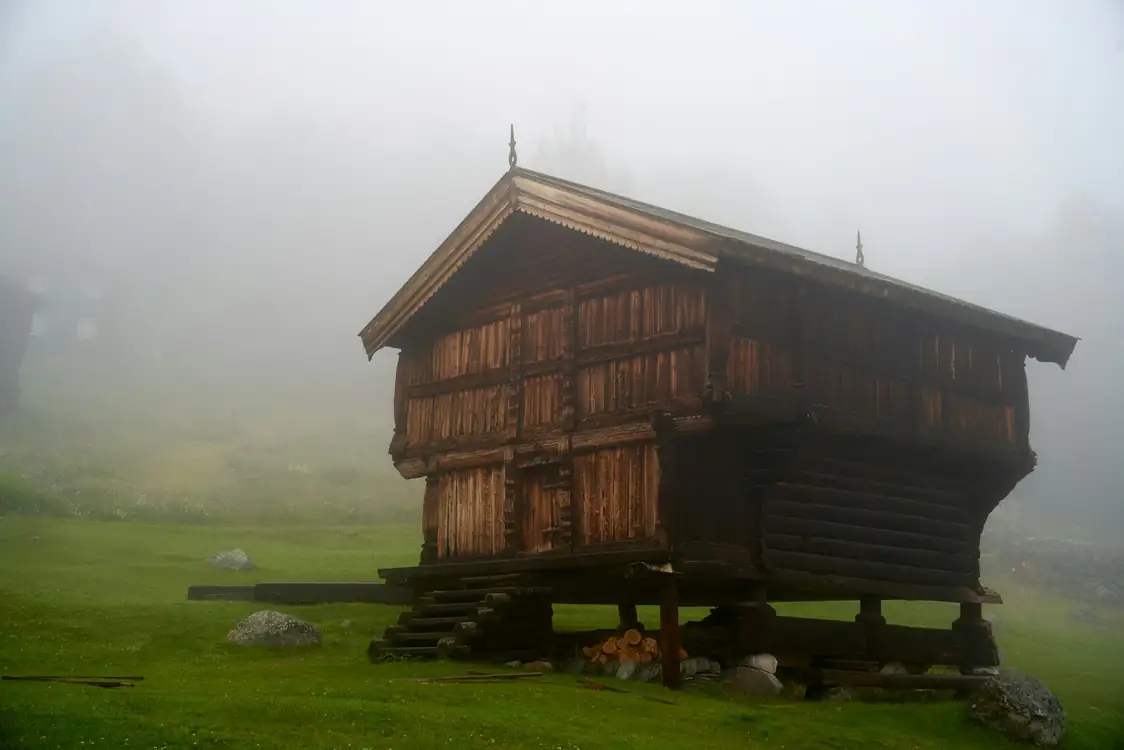 Fjellro