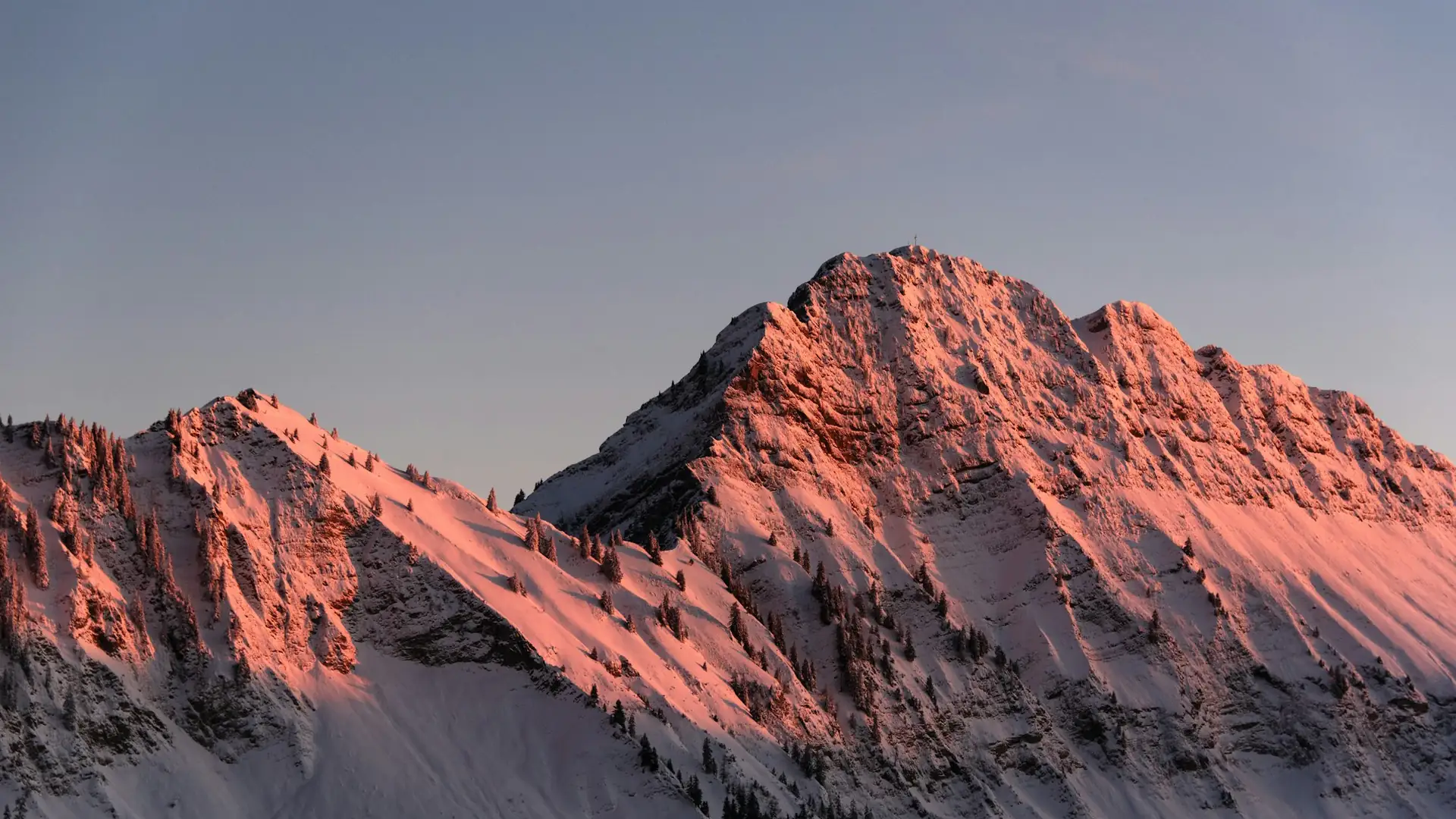 Ninety seconds of pink