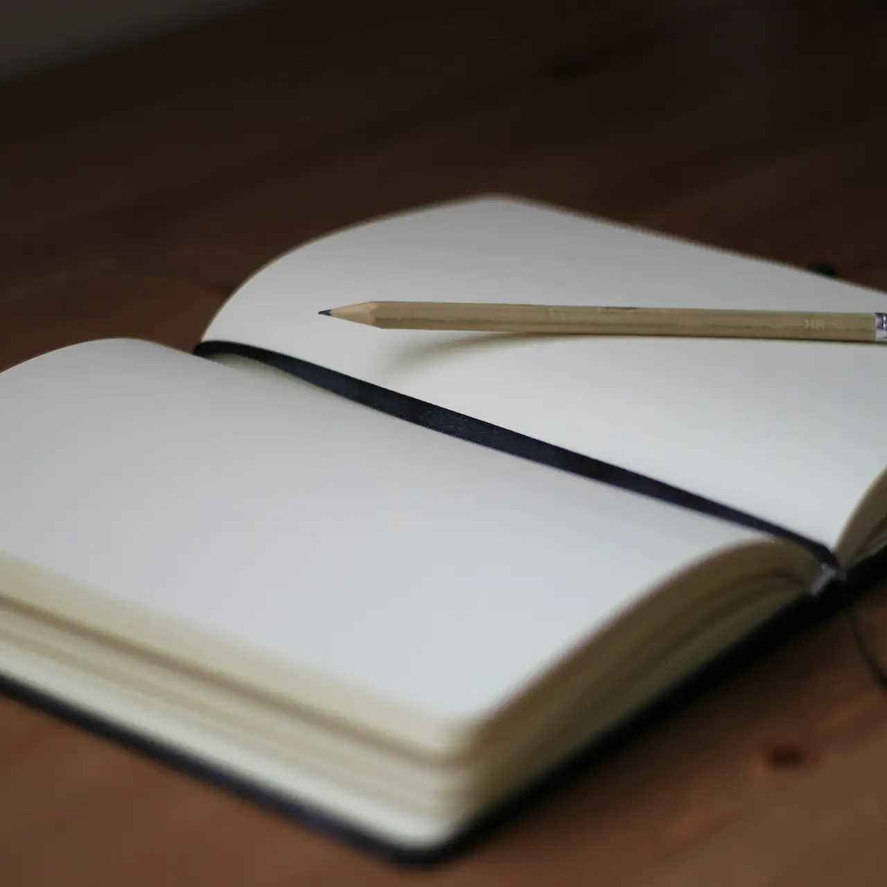 Every cabin keeps a diary
