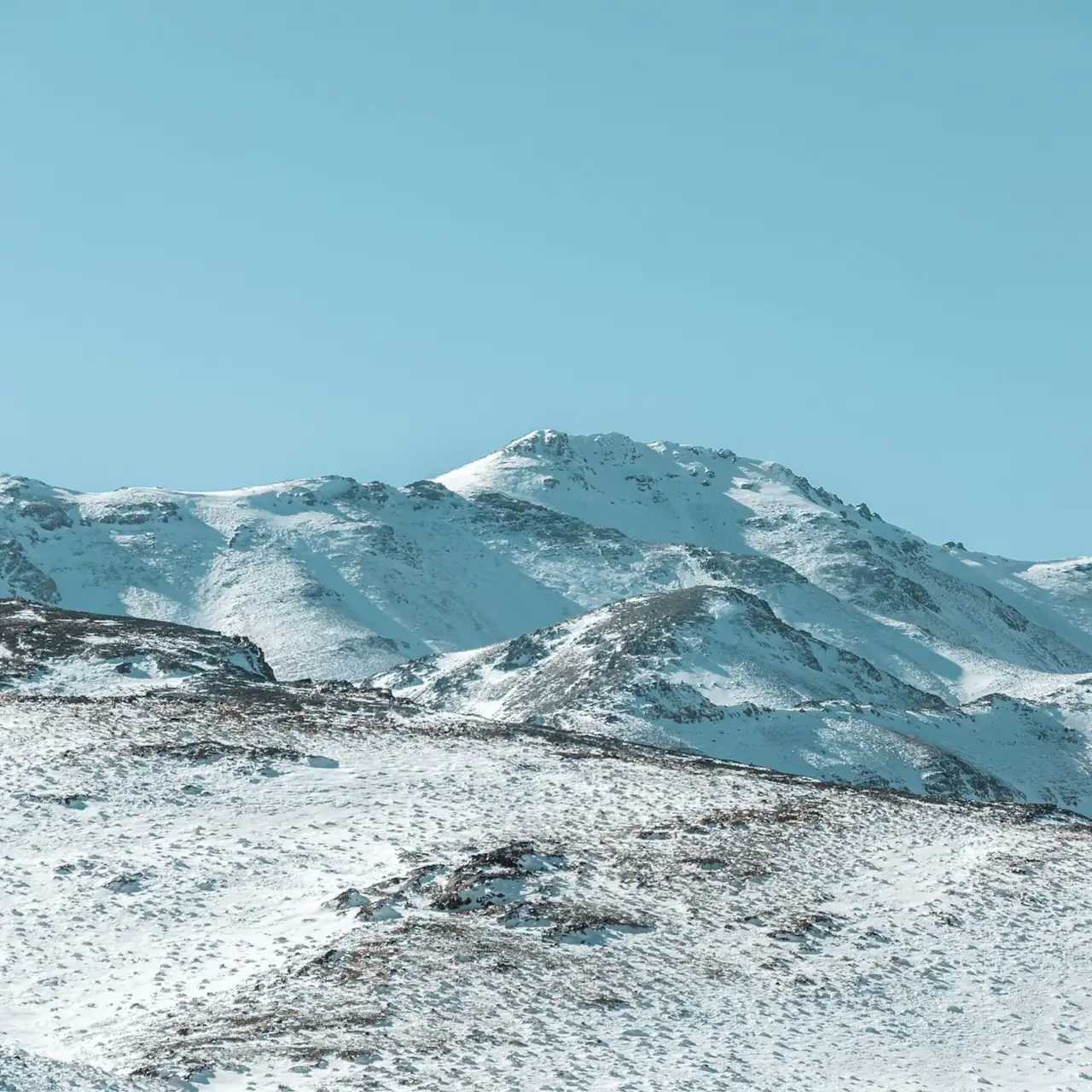 “Up the ridge before breakfast”